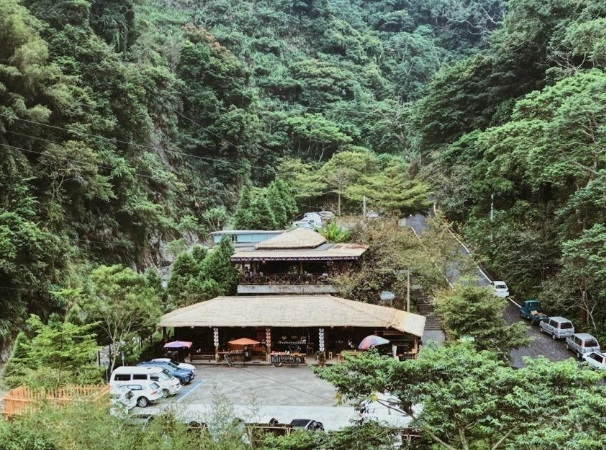 阿里山美食 阿里山美食