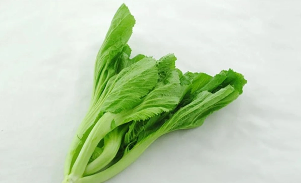 小芥菜病虫害防治