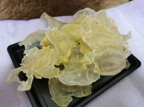 乾魚鰾做法