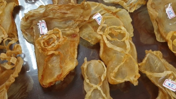 乾魚鰾做法