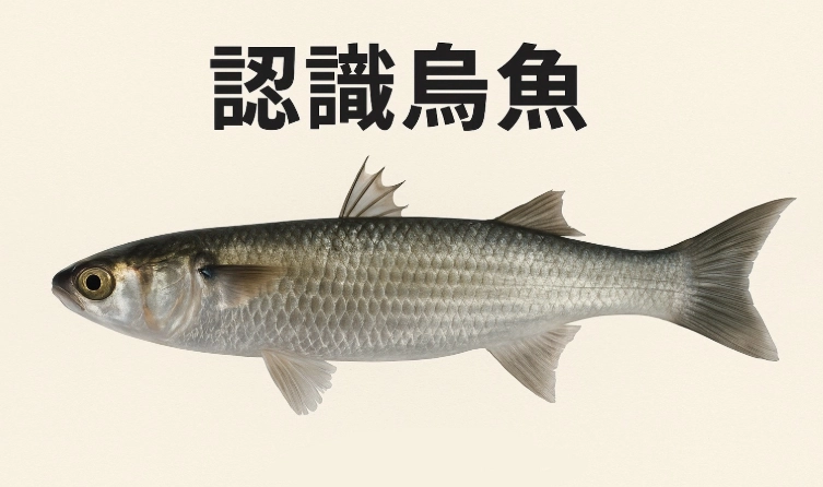 烏魚營養價值