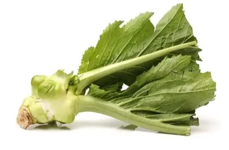 小芥菜種植方法