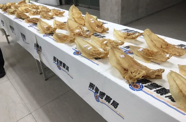 乾魚鰾選購