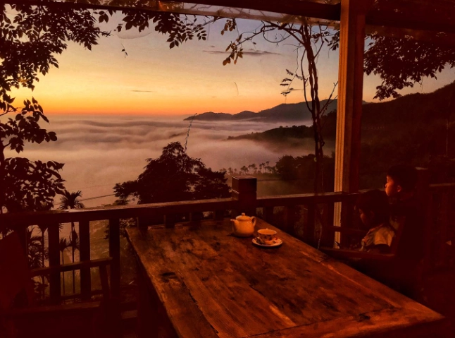 阿里山民宿推薦 阿里山民宿推薦