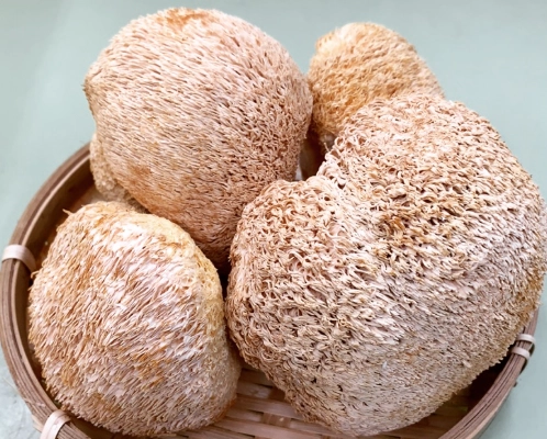 猴頭菇處理方法