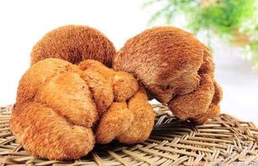 猴頭菇不良反應