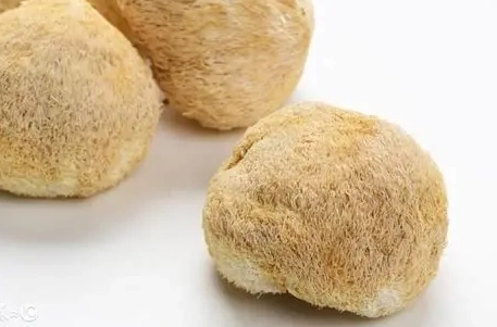 猴頭菇不良反應