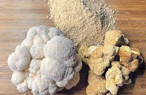 新鮮猴頭菇怎麼洗