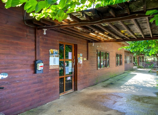 魚池素食餐廳：完整指南與必點菜色推薦