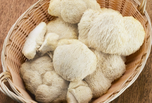 猴頭菇安全食用