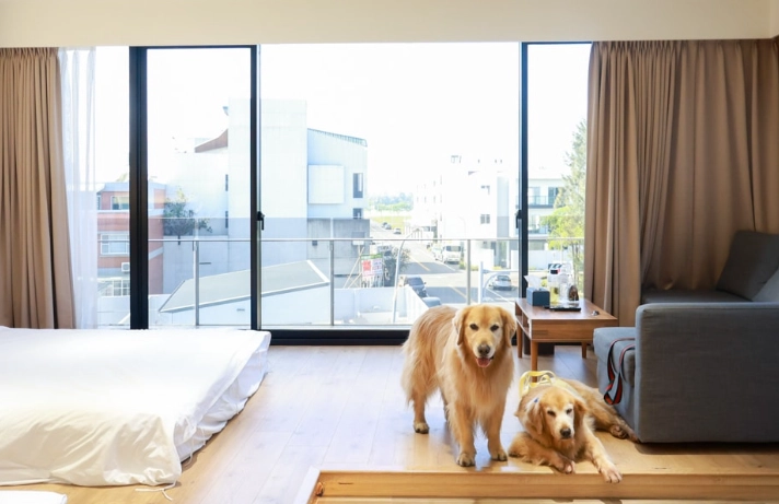帶毛孩遊府城核心：台南中西區寵物友善住宿挑選全攻略
