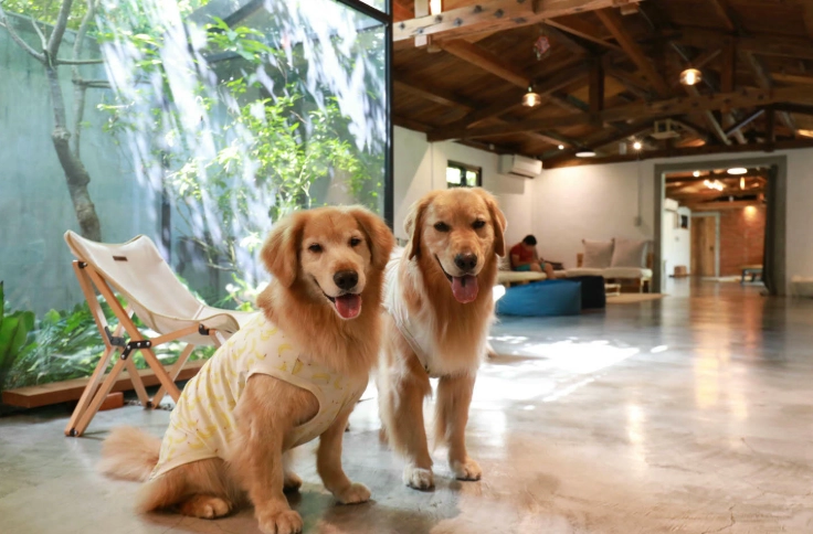 礁溪寵物友善民宿