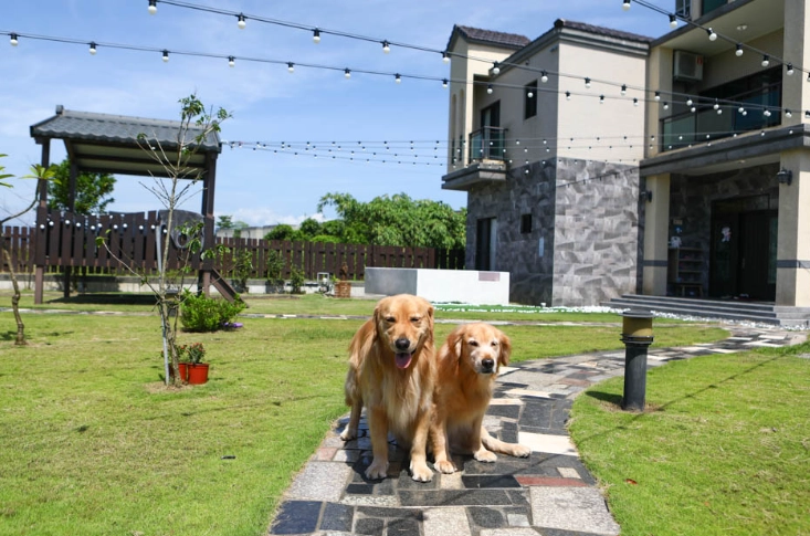 宜蘭寵物友善住宿 宜蘭寵物友善住宿