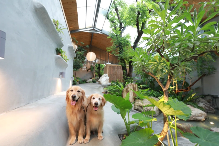 礁溪溫泉寵物民宿