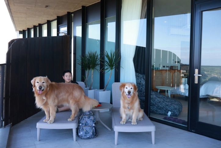 寵物友善民宿宜蘭 寵物友善民宿宜蘭