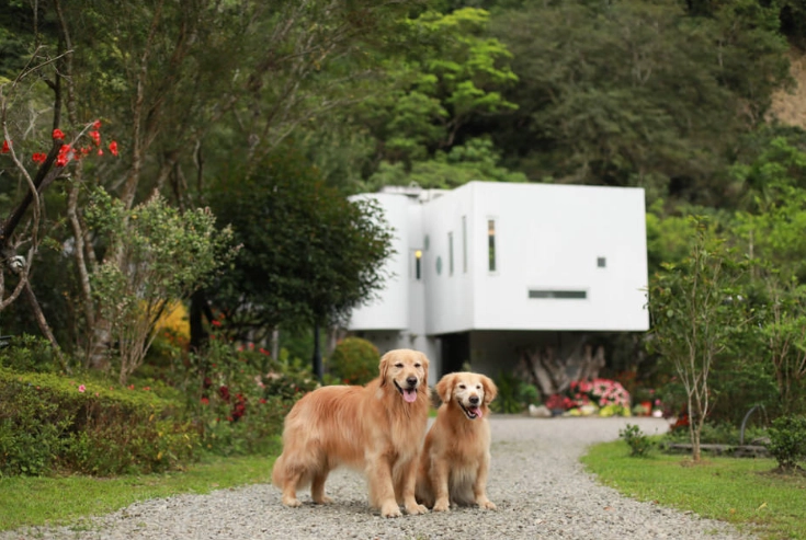 宜蘭寵物友善住宿推薦