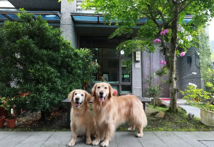 礁溪溫泉寵物民宿