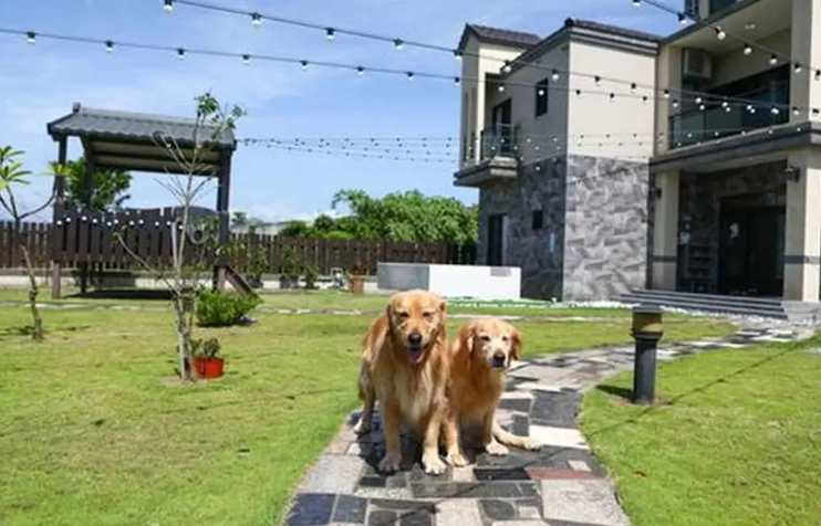 宜蘭寵物民宿包棟推薦：毛孩同樂假期完整指南