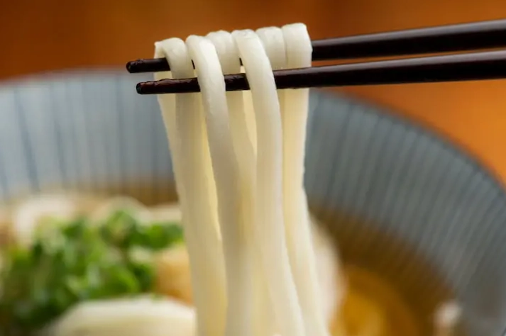 烏龍麵熱量高嗎？一碗烏龍麵的熱量真相與健康吃法大公開