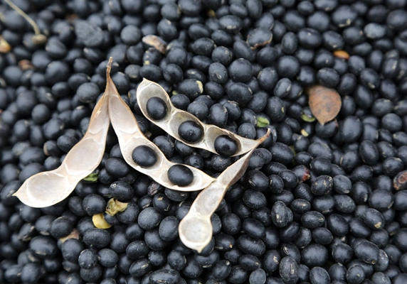 黑豆好處