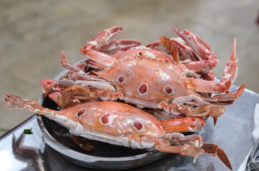 秋天吃螃蟹高雄