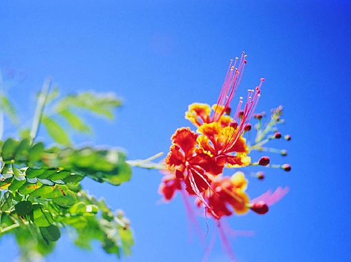 告別校園行程 告別校園行程