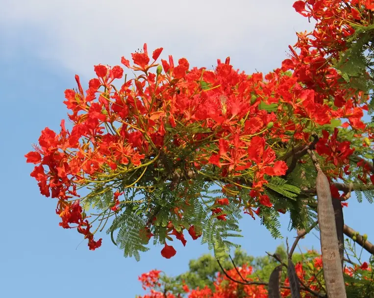 畢業旅行攝影 畢業旅行攝影