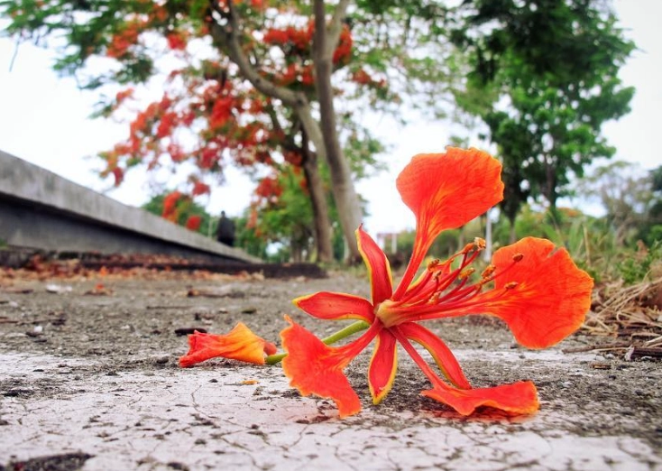 告別校園行程 告別校園行程