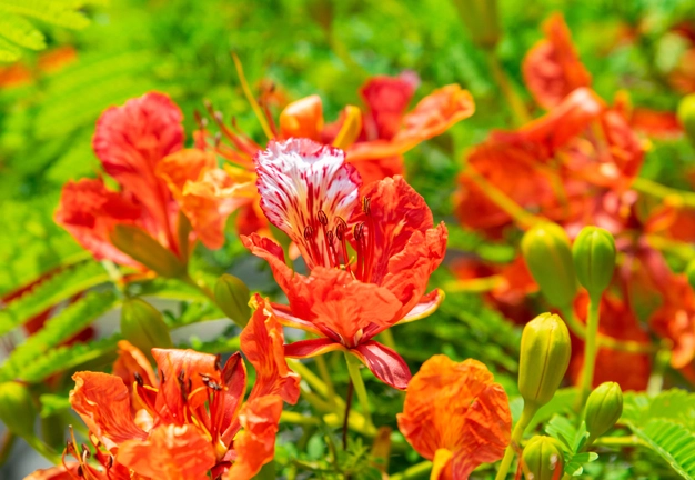 畢業旅行攝影 畢業旅行攝影