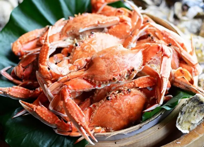 螃蟹哪裡買