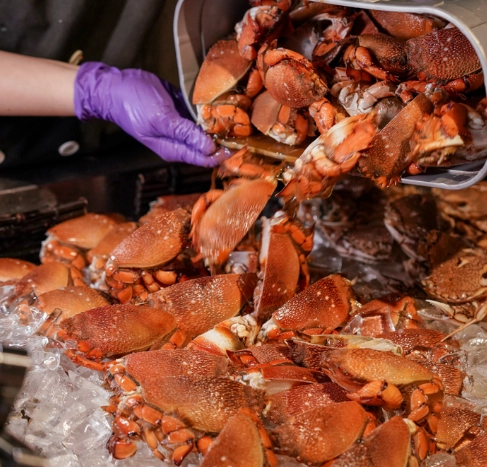 秋蟹自助餐高雄