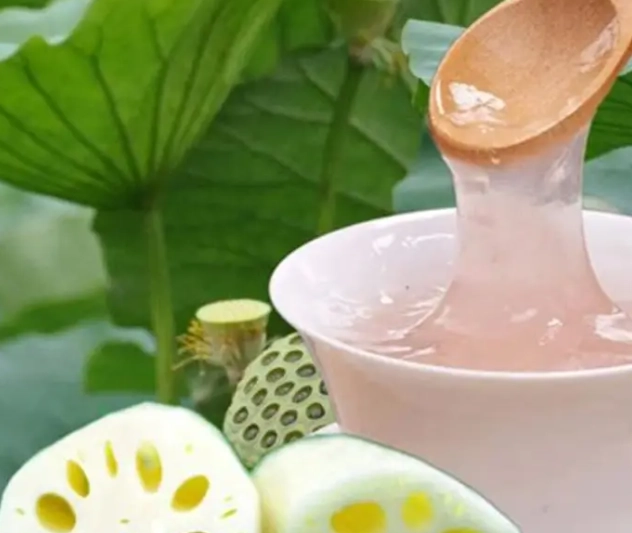 蓮藕粉 功效