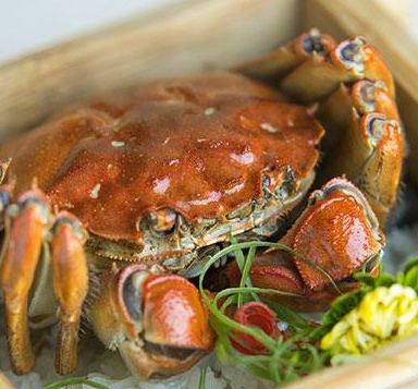 桃園秋蟹吃到飽