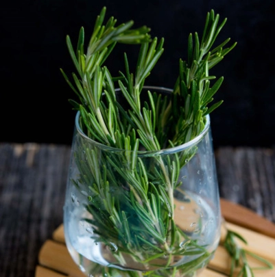 迷迭香茶怎麼泡