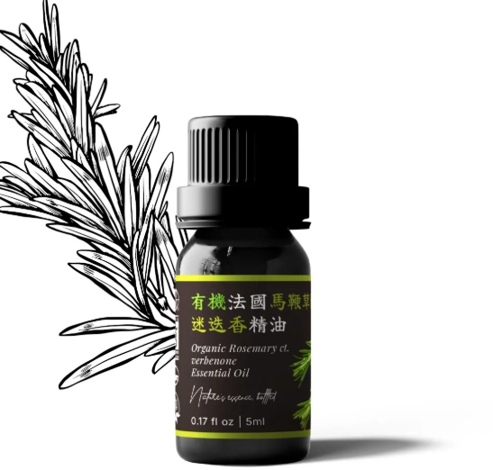 馬鞭草酮迷迭香精油功效