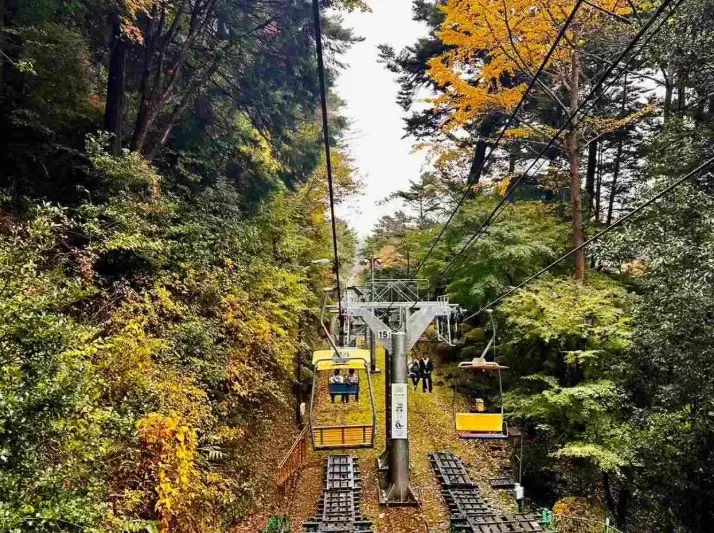 高尾山吊椅