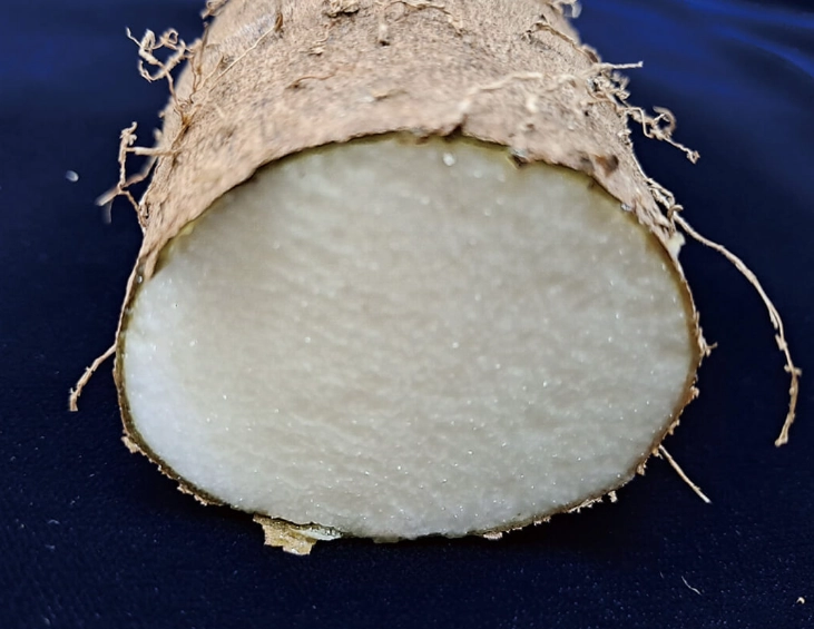 糖尿病 山藥 糖尿病 山藥