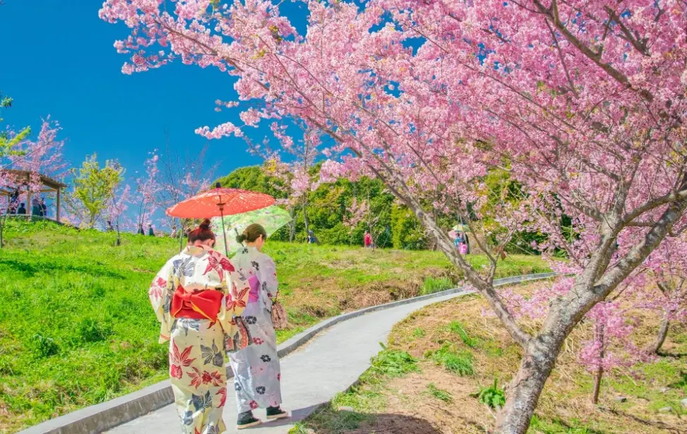 台灣賞桃花景點