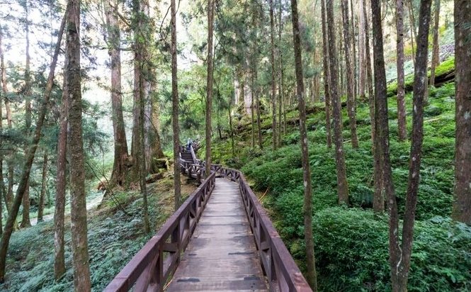 阿里山住宿 阿里山住宿