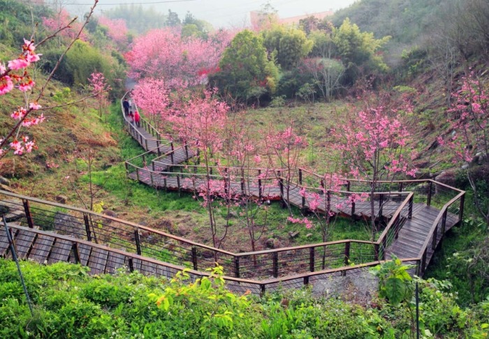 石棹步道徒步指南