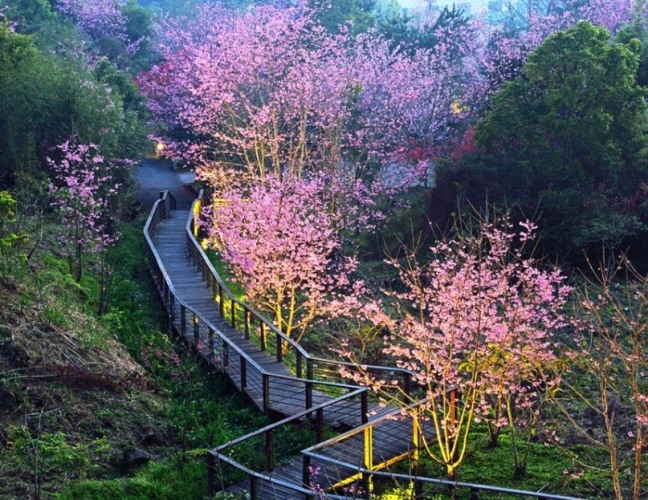石棹步道徒步指南