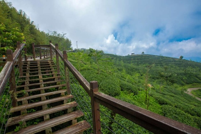 阿里山石棹步道