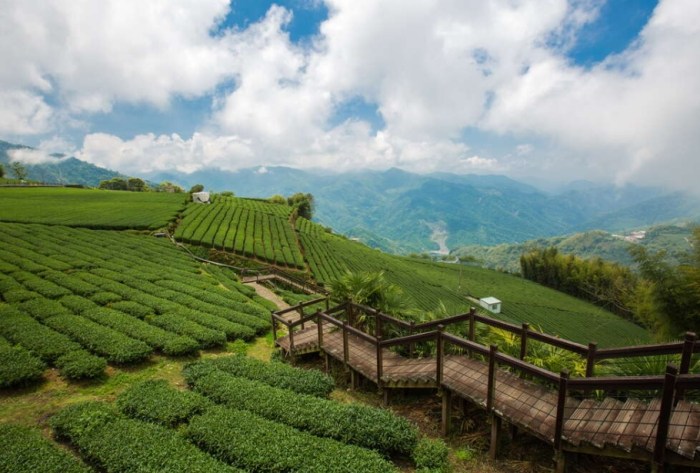 石棹步道徒步指南