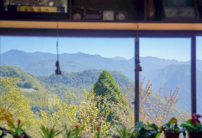 阿里山餐廳推薦
