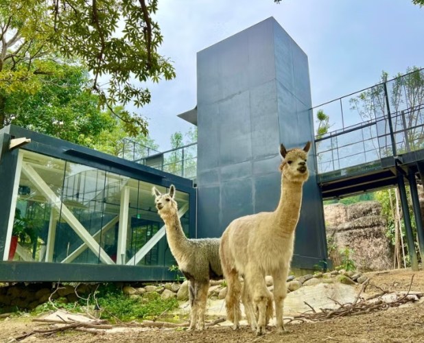 銀髮族高雄旅遊