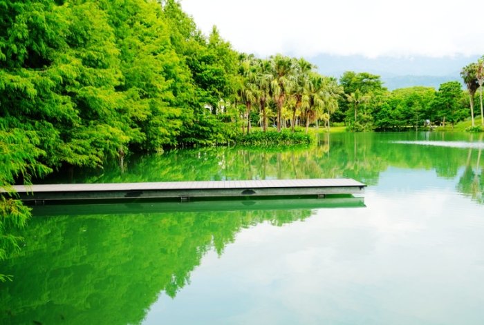 雲山水自然生態