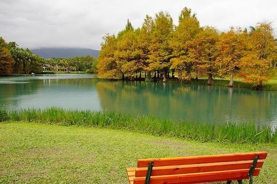 雲山水自然生態
