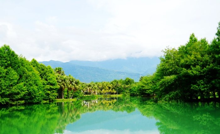 雲山水自然生態