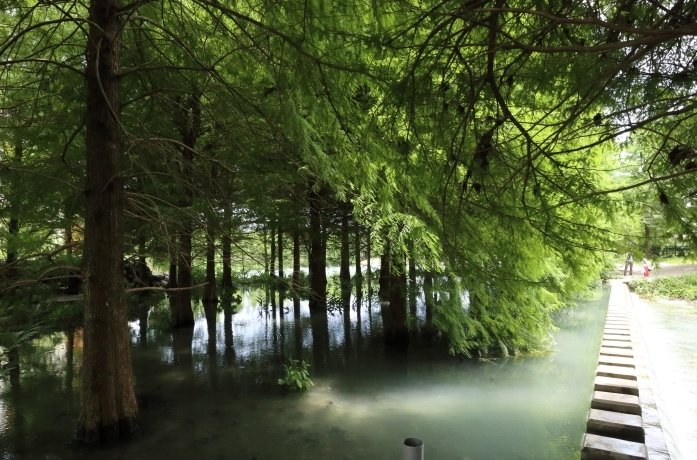 壽豐雲山水旅遊