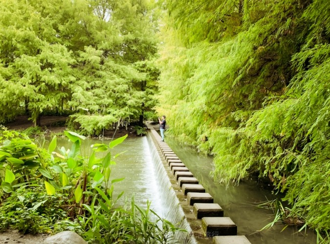 雲山水自然生態
